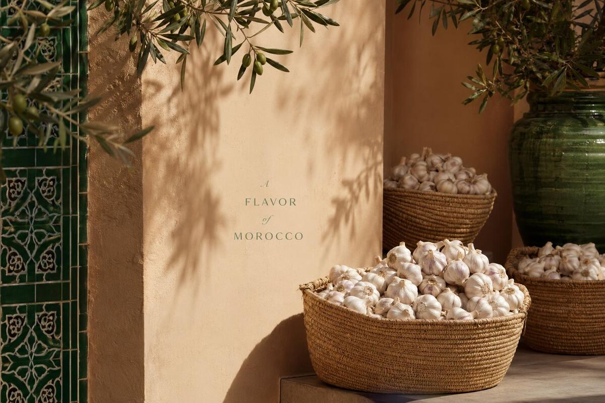 Moroccan garlic farm — origin of Toumail garlic